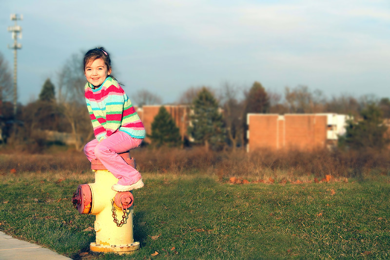 IMAGE: http://dsnyder.ws-e.com/photos/potn/IMG_2675-background-blur.jpg